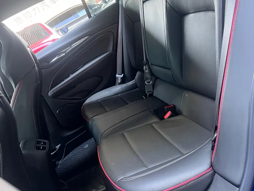Buick Regal — миниатюра 13