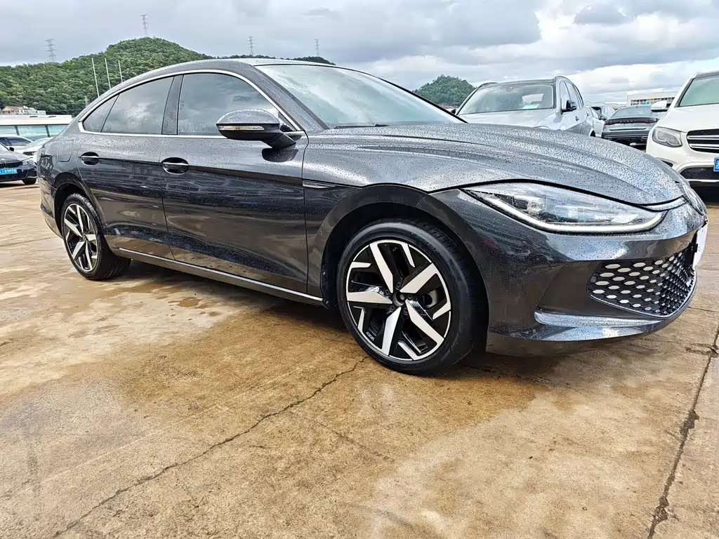 Volkswagen Lamando — миниатюра 3