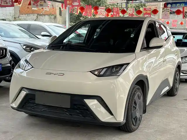 2023 BYD Seagull