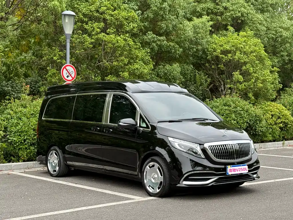 Mercedes-Benz V-Class (Import) — миниатюра 2