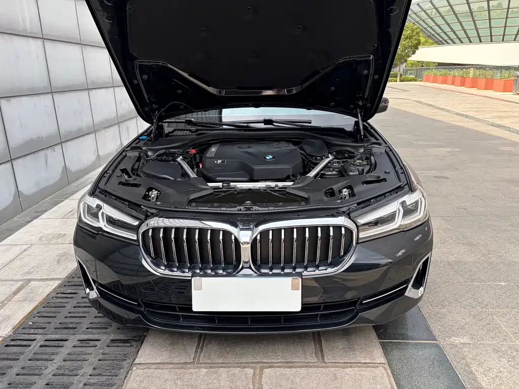 BMW 5 Series — миниатюра 39