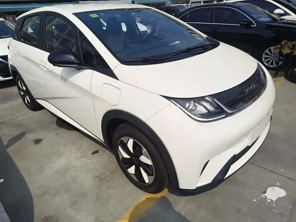 BYD Dolphin 2025 420km Freedom