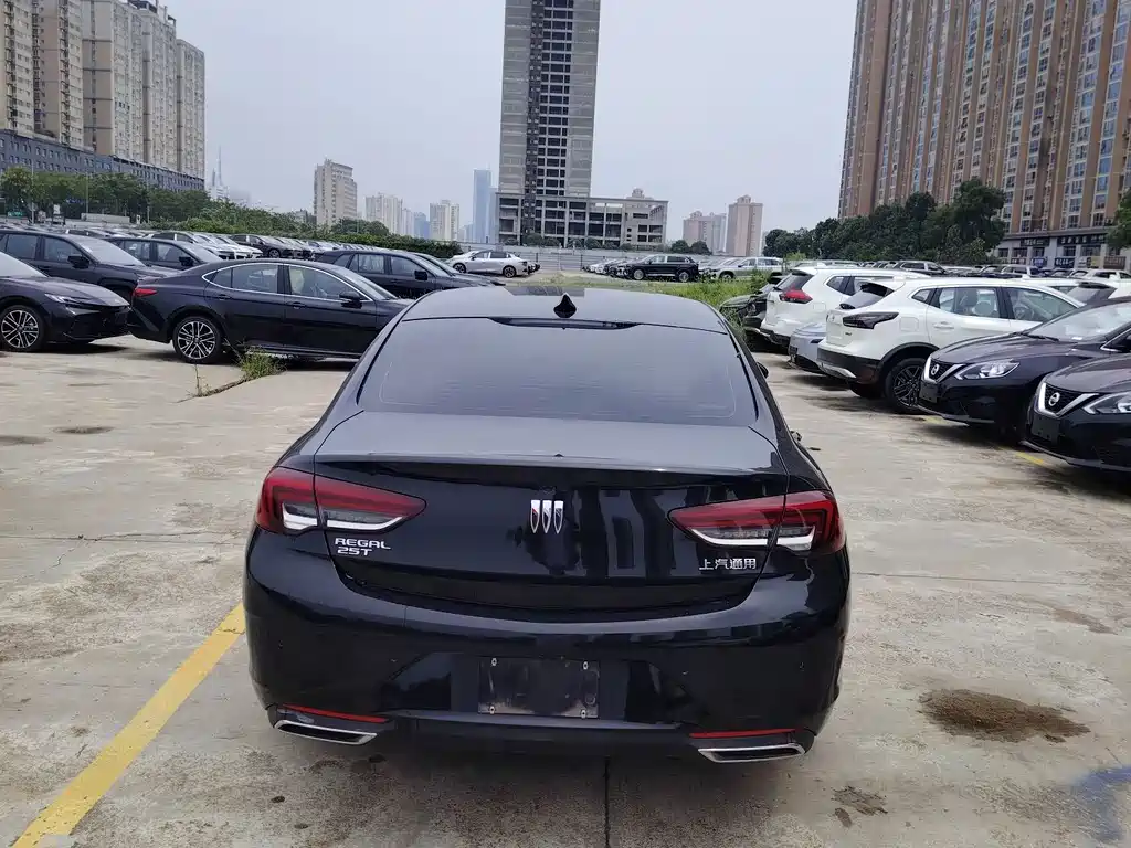 Buick Regal — миниатюра 8