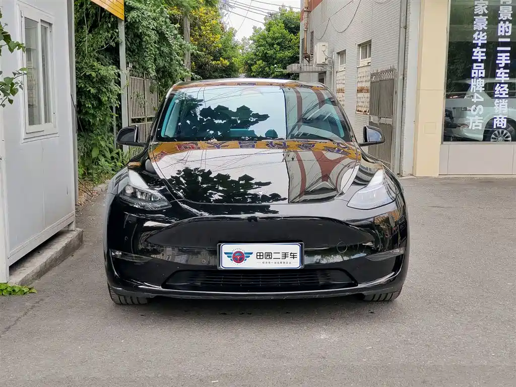Tesla Model Y 2022 Performance