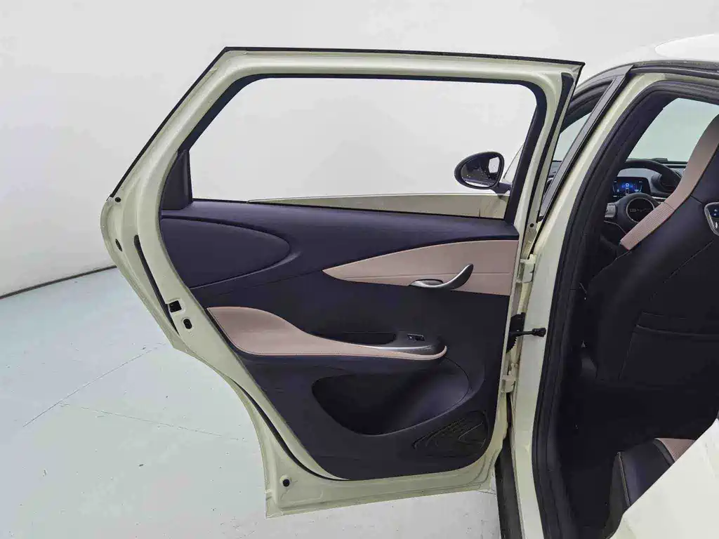 BYD Dolphin — миниатюра 13