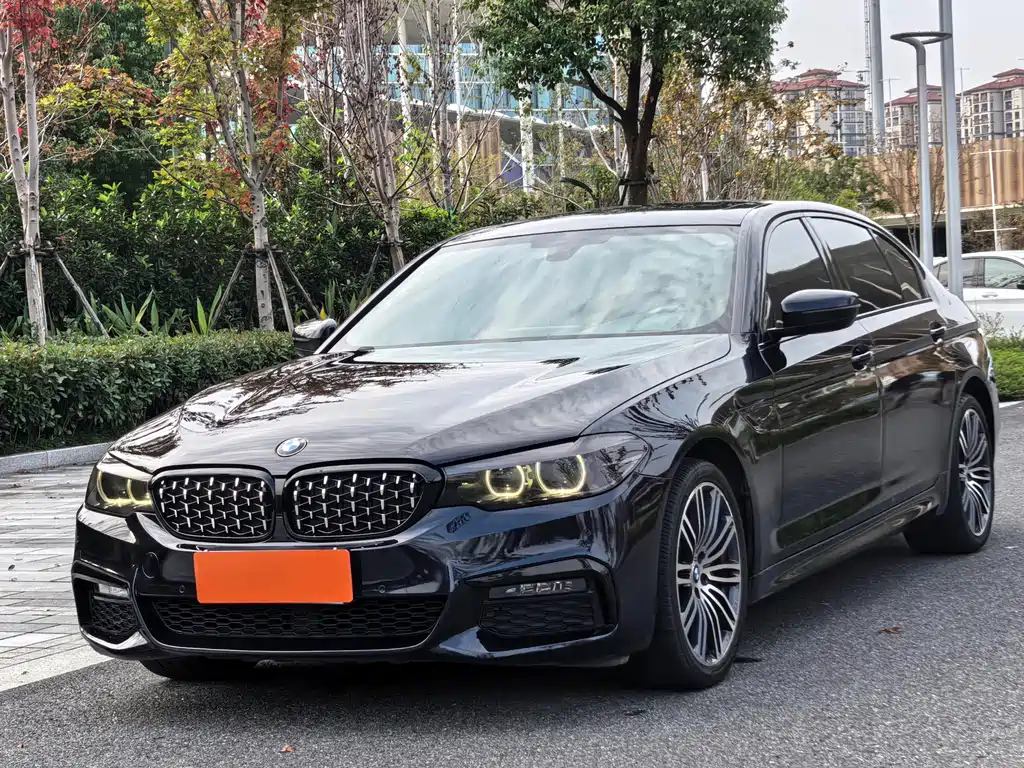 BMW 5 Series 2019