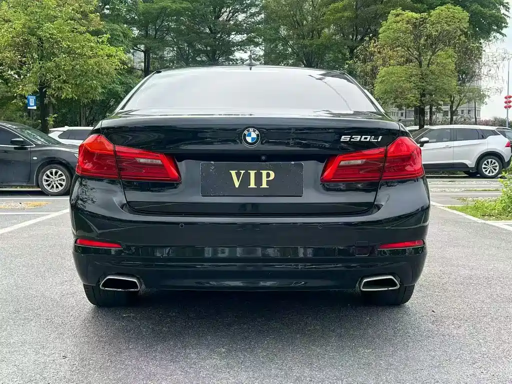 BMW 5 Series 5 2018 528Li