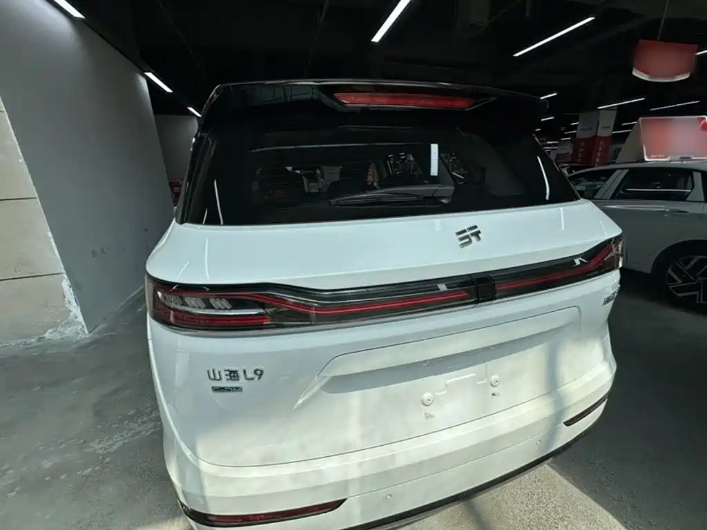 Shanhai Shanhai L9 — миниатюра 10