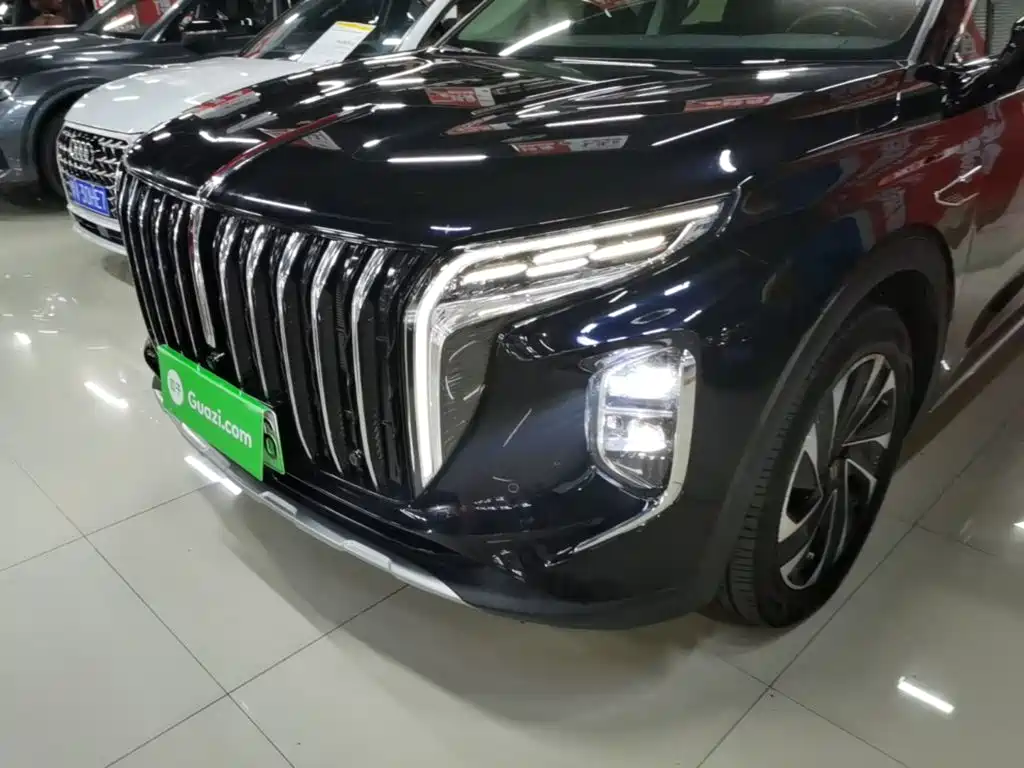 Hongqi Hongqi HS7 PHEV — миниатюра 24