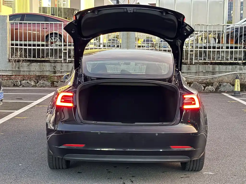 Tesla Model 3 — миниатюра 7