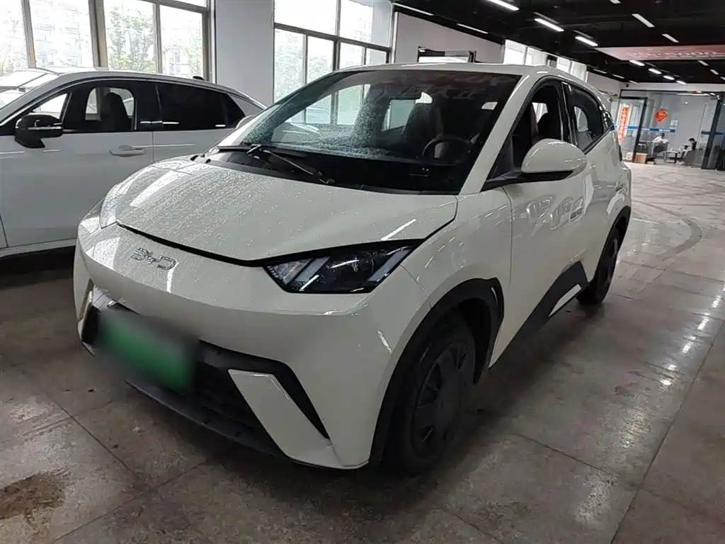 Byd Seagull 2024