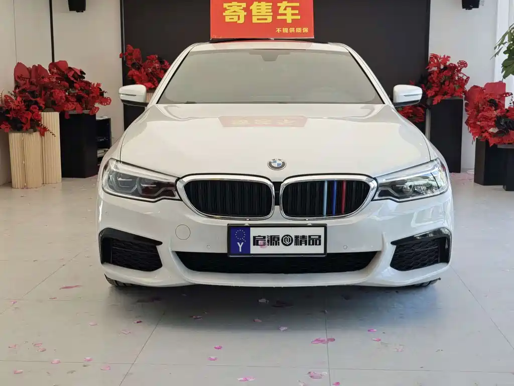 BMW 5 Series — миниатюра 2