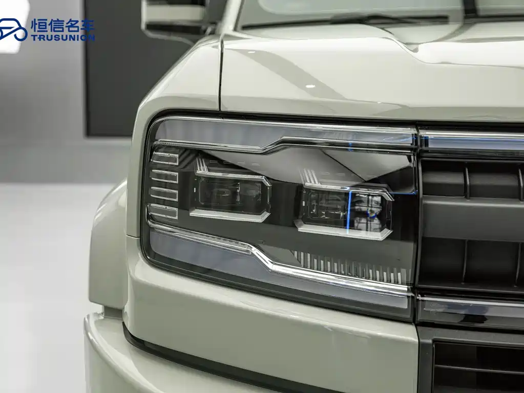 FANG CHENG BAO LEOPARD 5