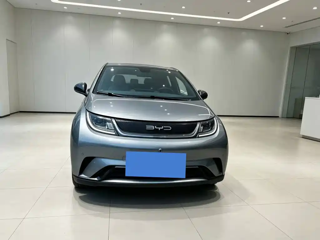BYD Dolphin — миниатюра 8