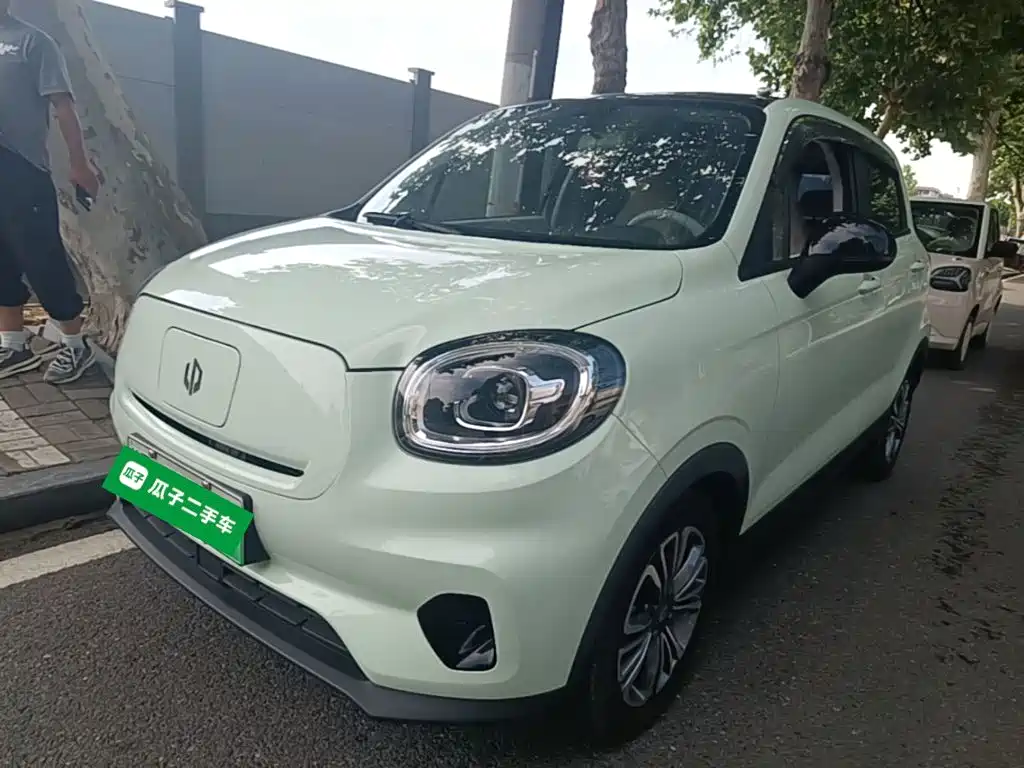 Leapmotor T03 2024 310