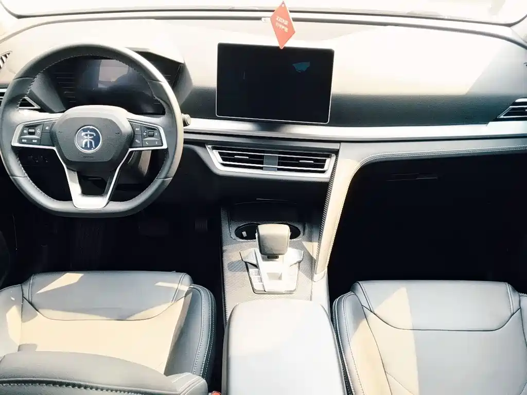 BYD Pro — миниатюра 5