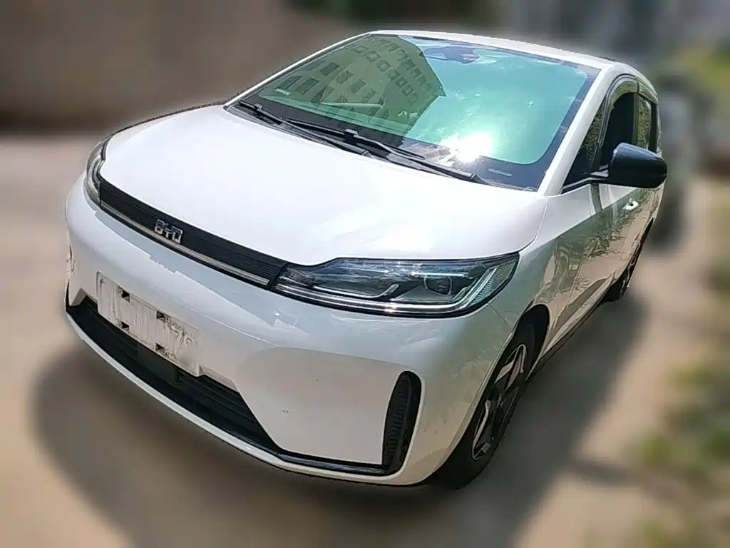 BYD D1 — миниатюра 3