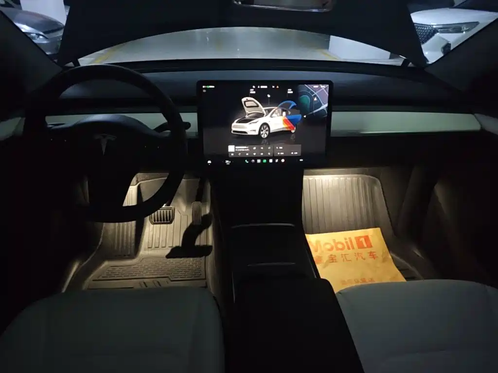 Tesla Model Y — миниатюра 11
