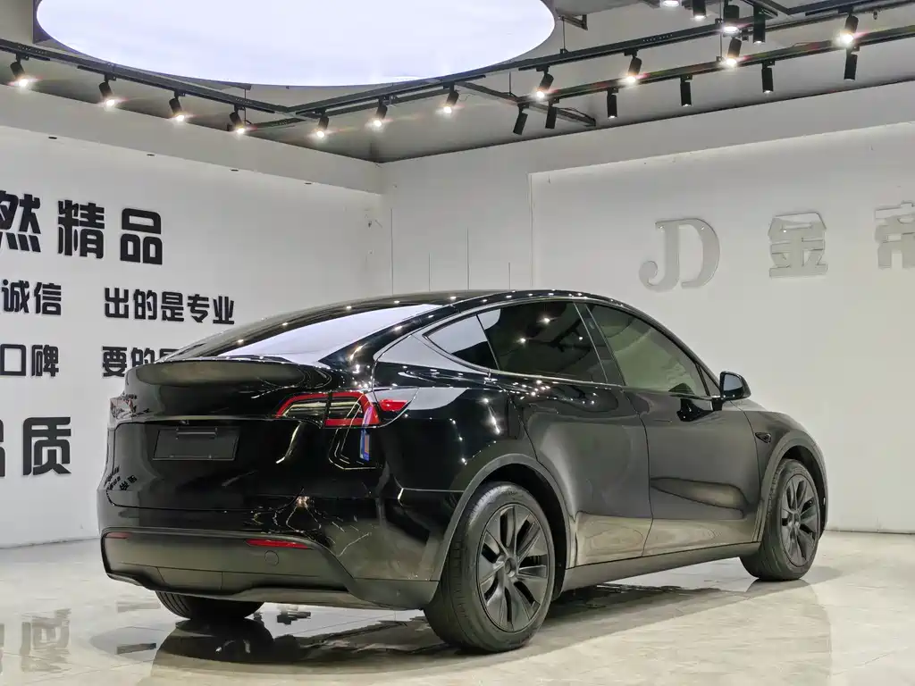 Tesla Model Y — миниатюра 13