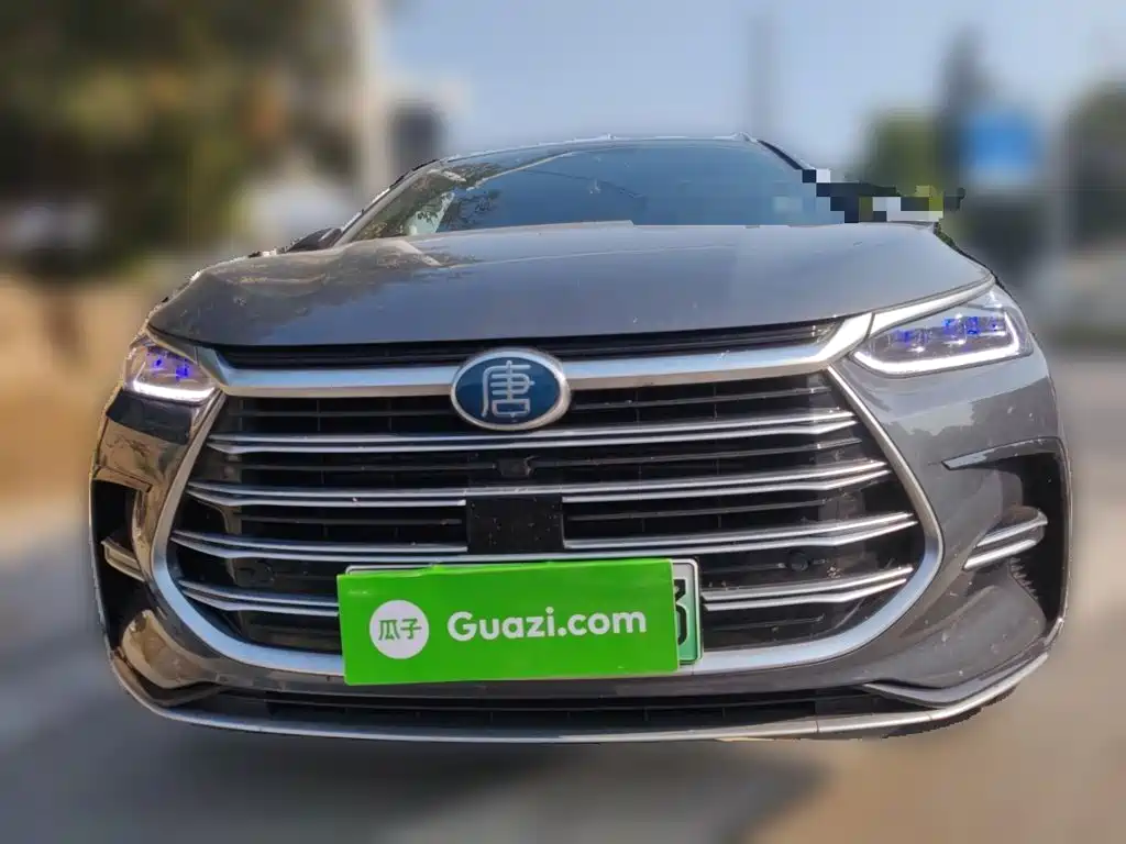 BYD Tang New Energy — миниатюра 2