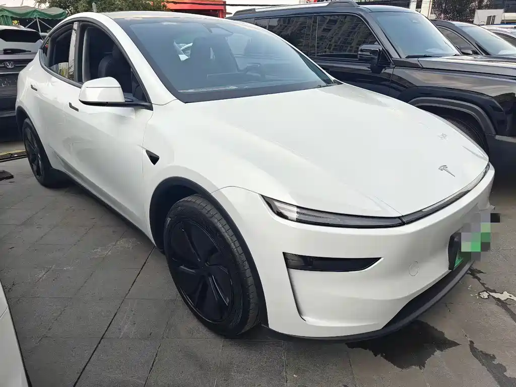 Tesla Model Y — миниатюра 3
