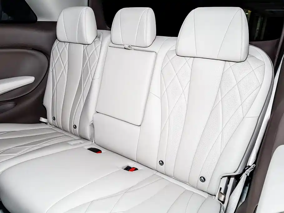 Denza Denza D9 — миниатюра 11