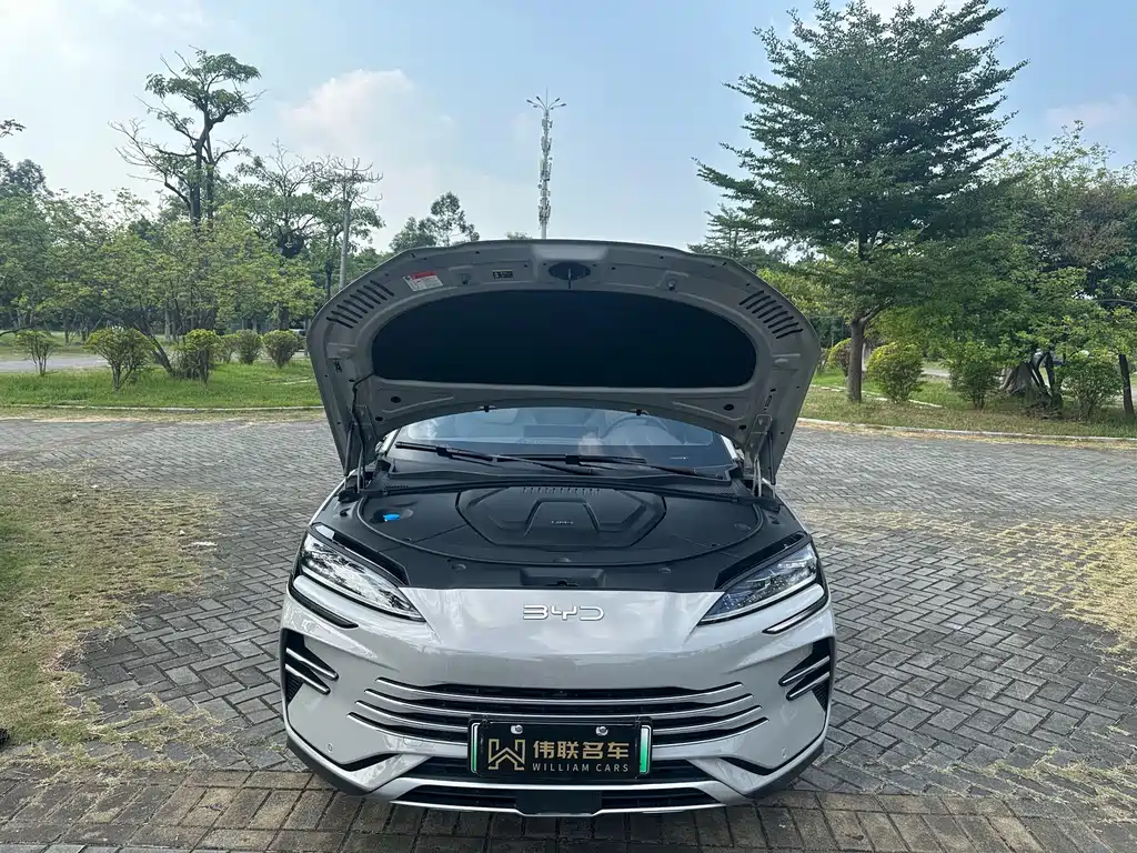BYD PLUS New Energy — миниатюра 21