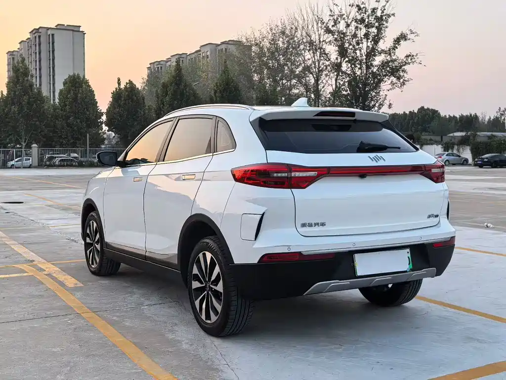 WM Motor EX5 — миниатюра 7