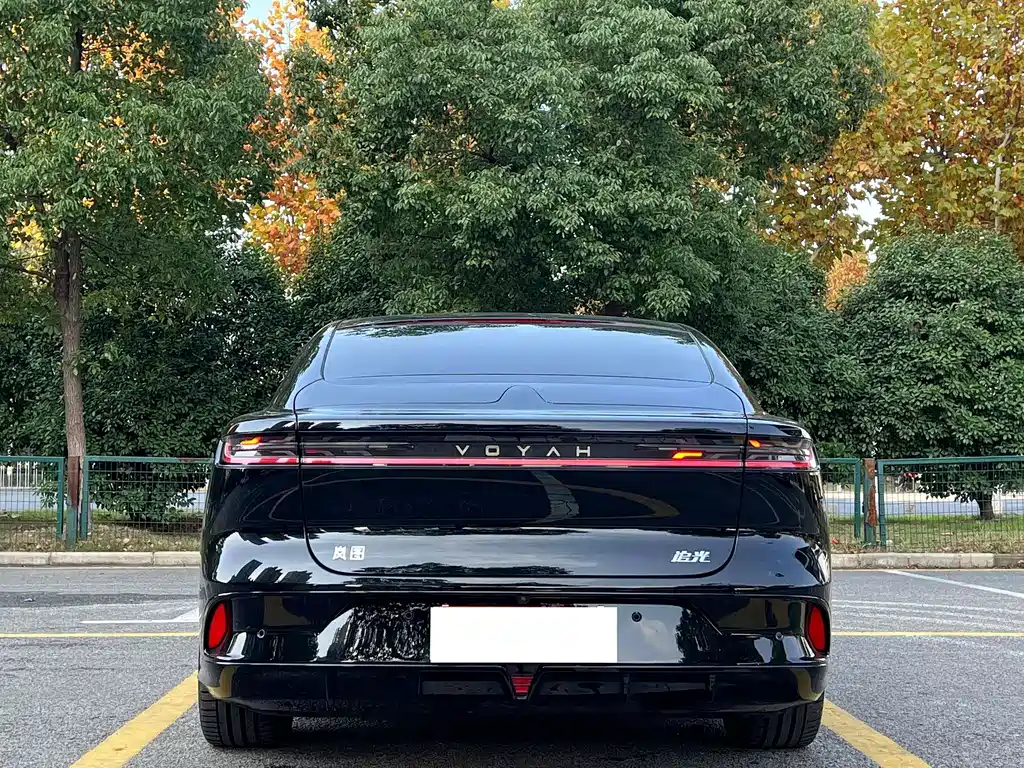 VOYAH Passion — миниатюра 8