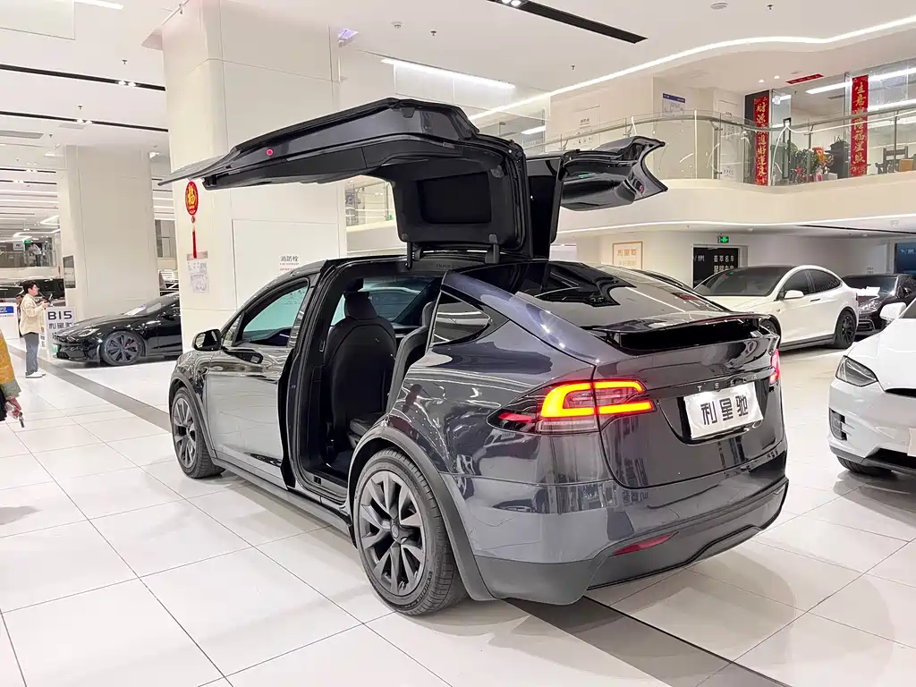 TESLA MODEL X