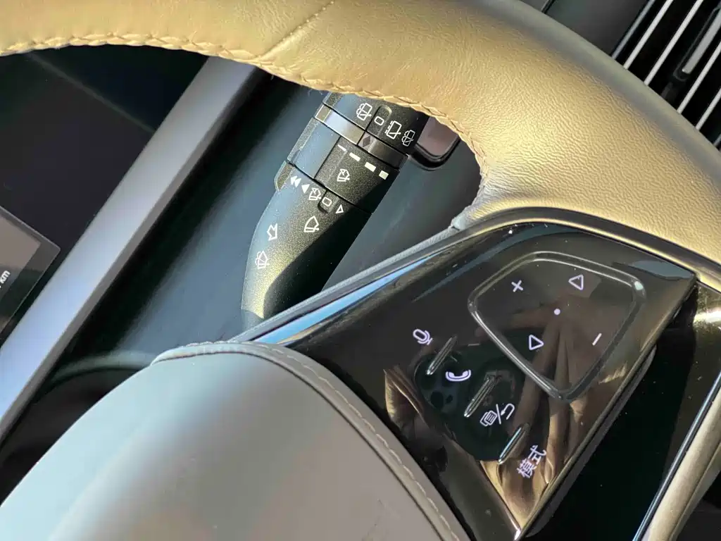 Denza Denza D9 — миниатюра 14