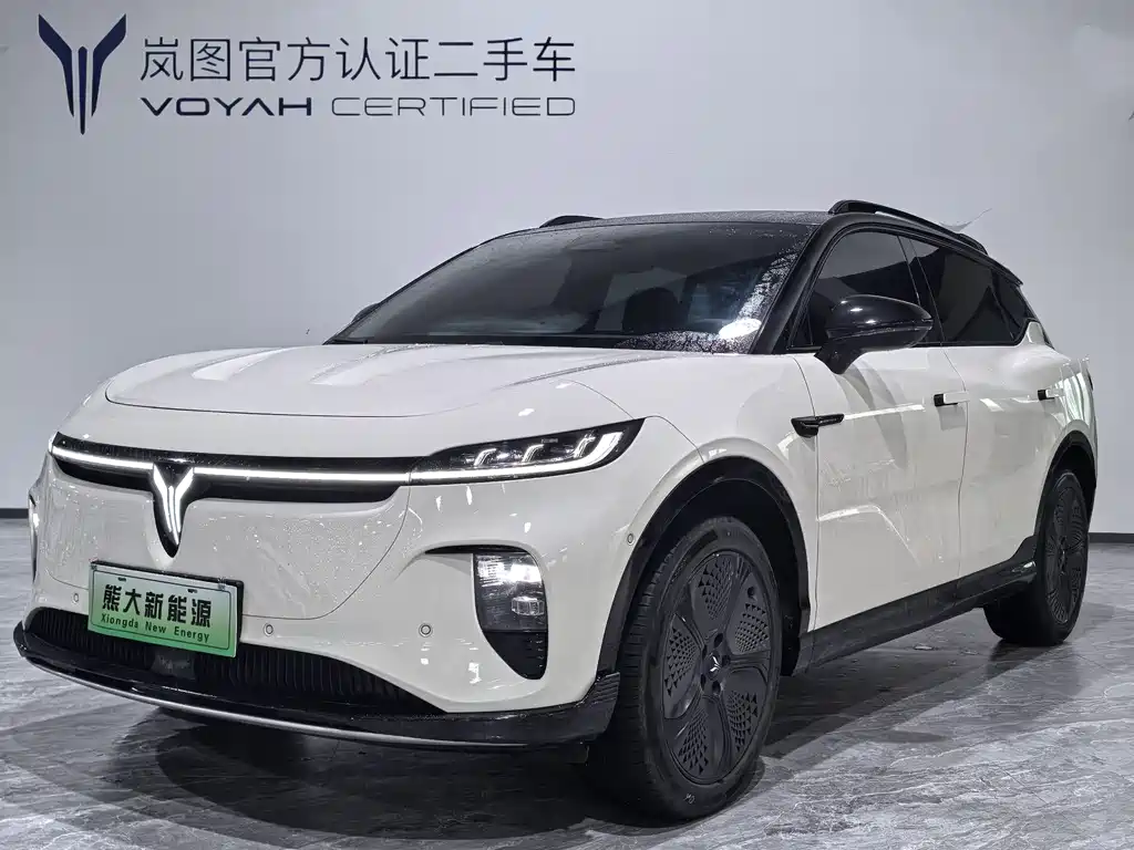 Voyah Zhiyin 2025