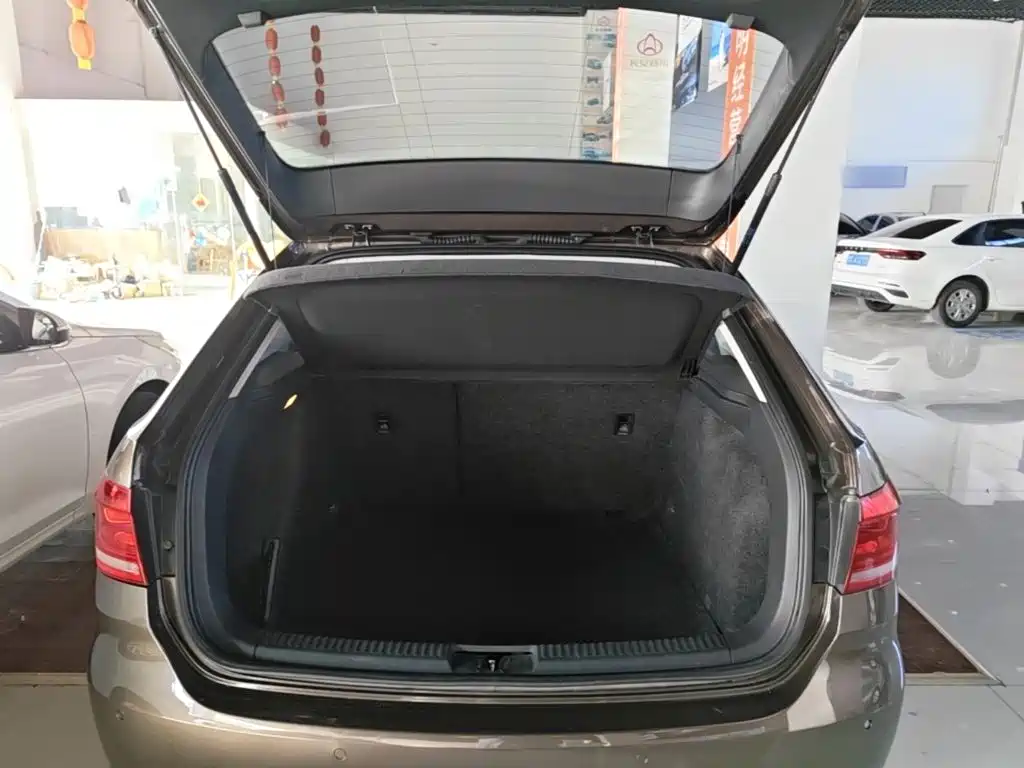 Volkswagen Gran Lavida — миниатюра 19