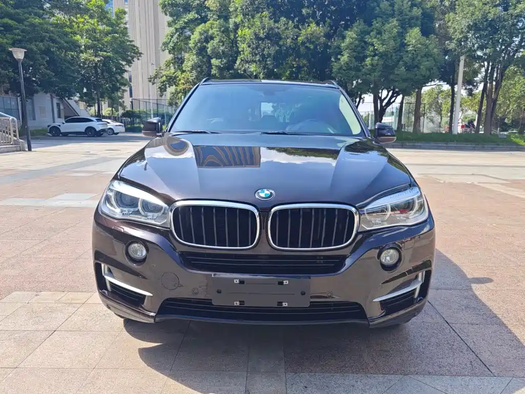 BMW X5 (Import) — миниатюра 2