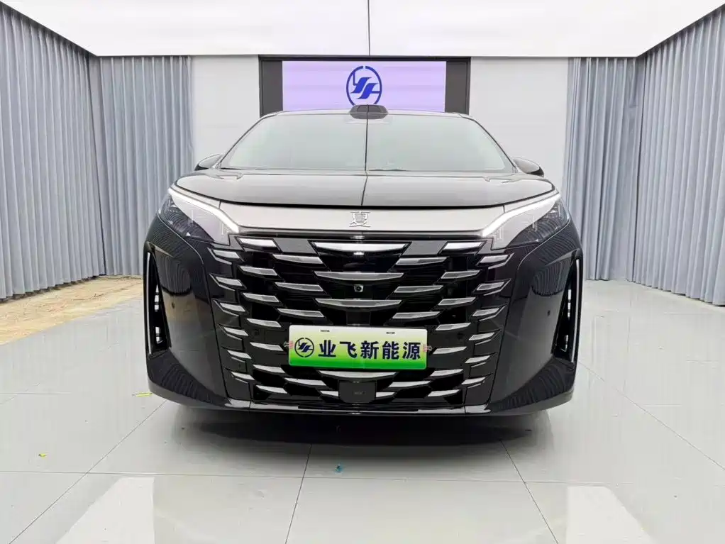 BYD Xia — миниатюра 2