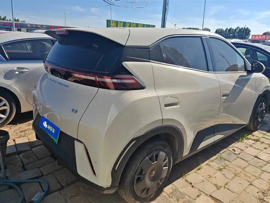 BYD Seagull