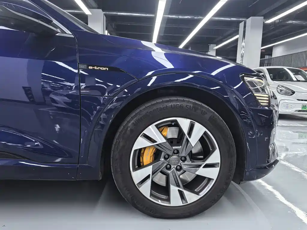 Audi e-tron (Import) — миниатюра 17