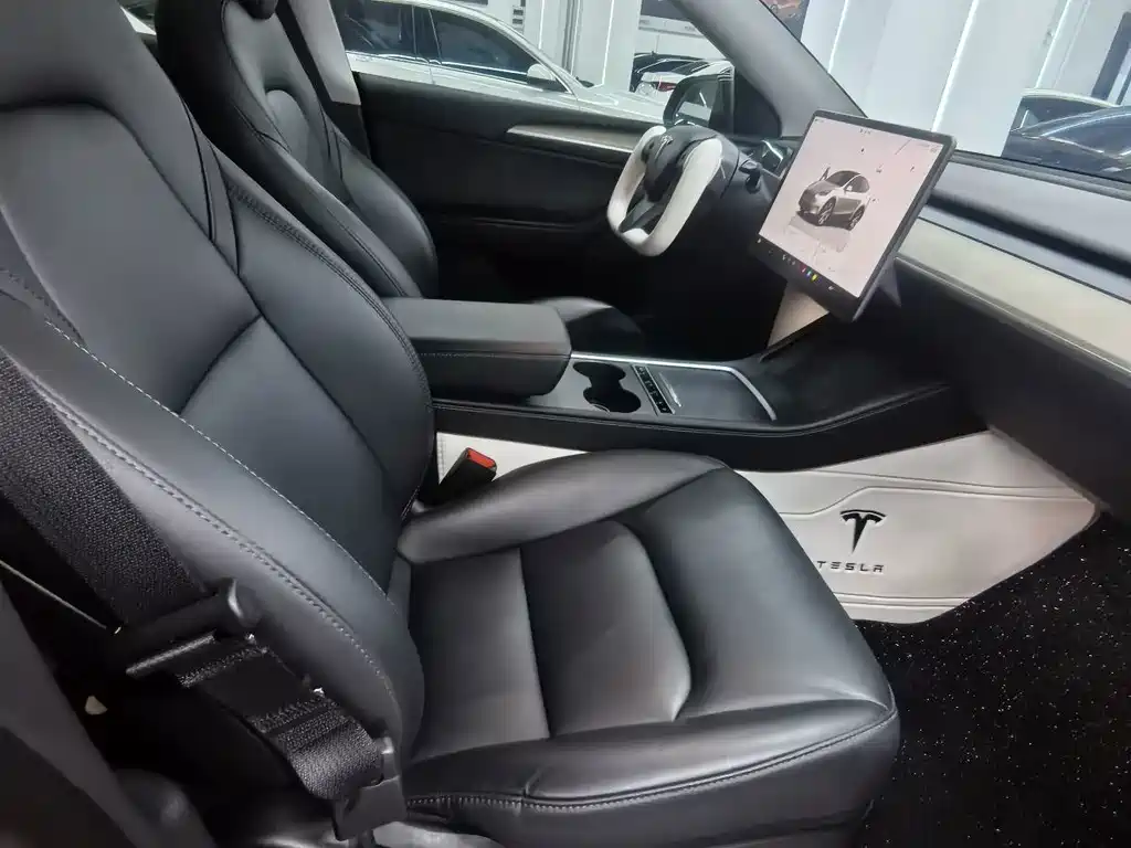 Tesla Model Y — миниатюра 5