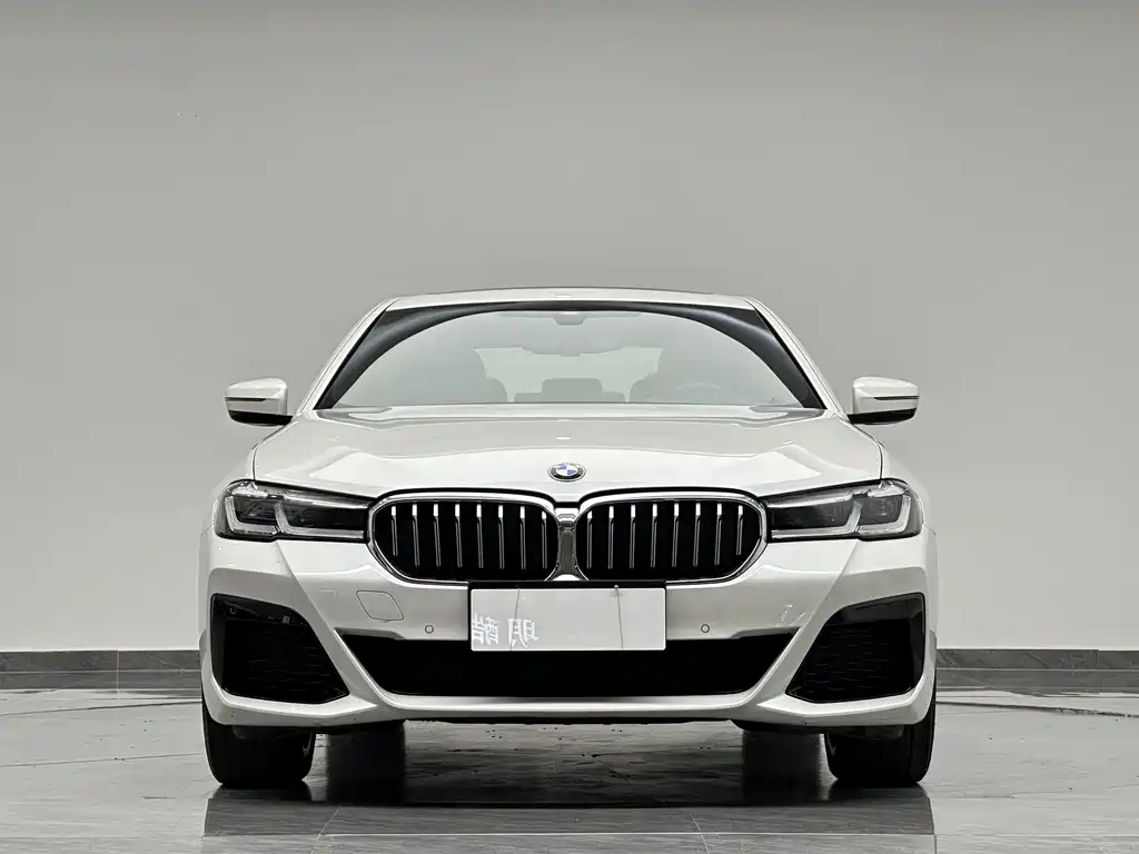 BMW 5 Series — миниатюра 3