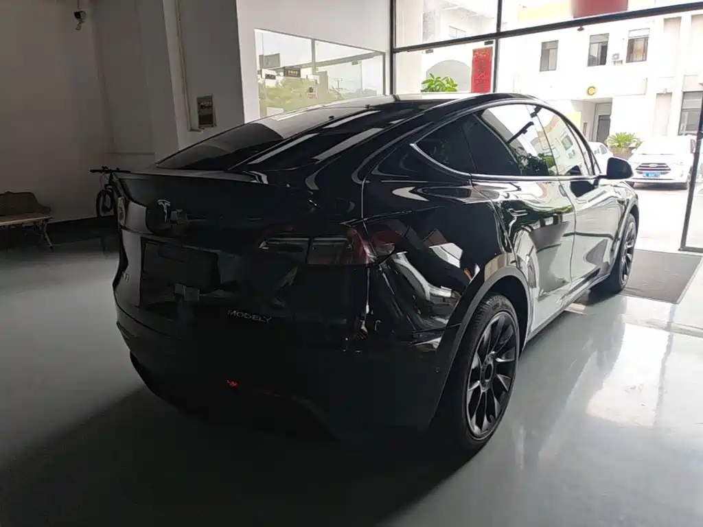 Tesla Model Y — миниатюра 7