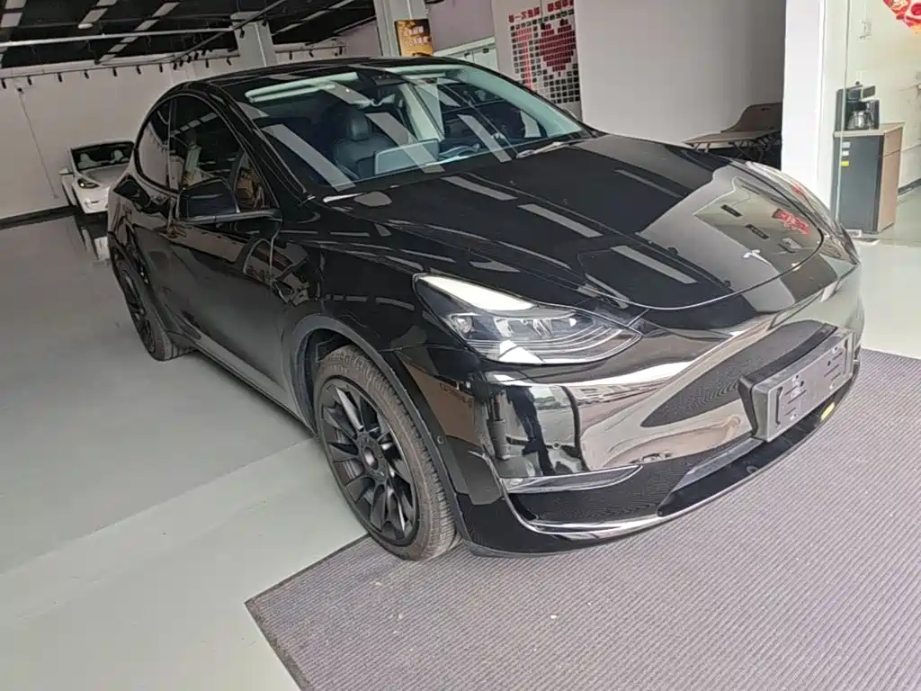 Tesla Model Y — миниатюра 4