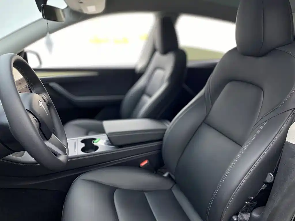 Tesla Model Y — миниатюра 15
