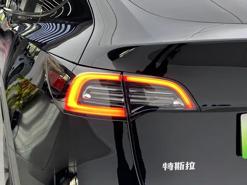 Tesla Model Y — миниатюра 10