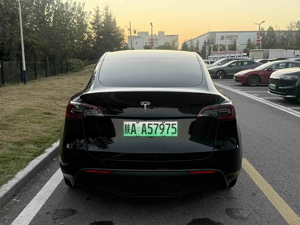 Tesla Model Y — миниатюра 14