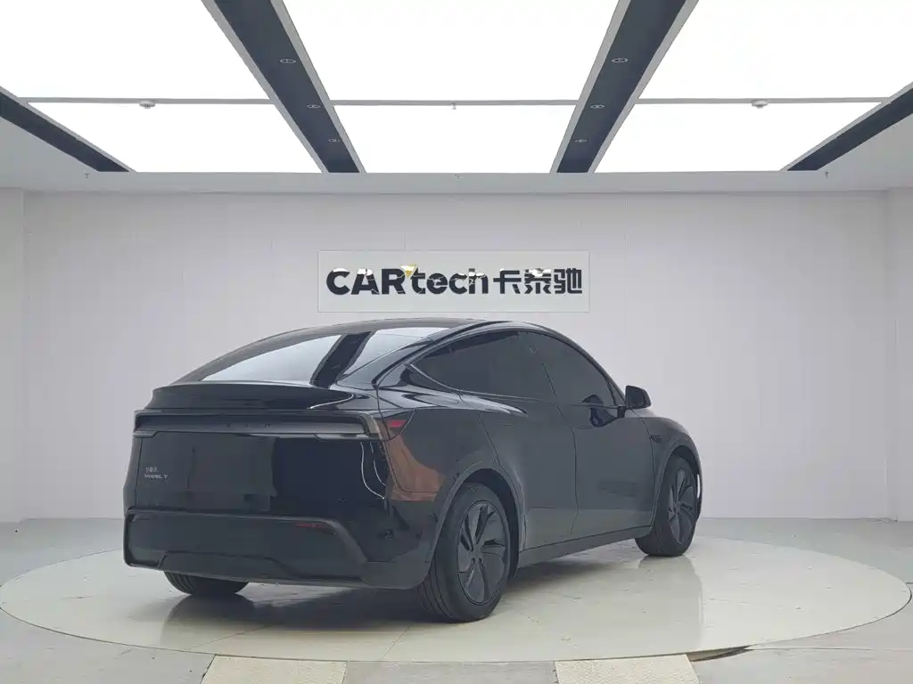 Tesla Model Y — миниатюра 5