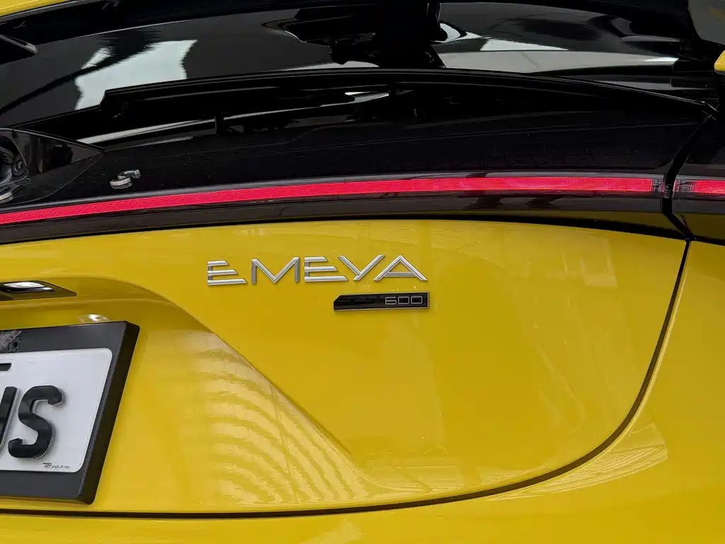 Lotus EMEYA — миниатюра 18