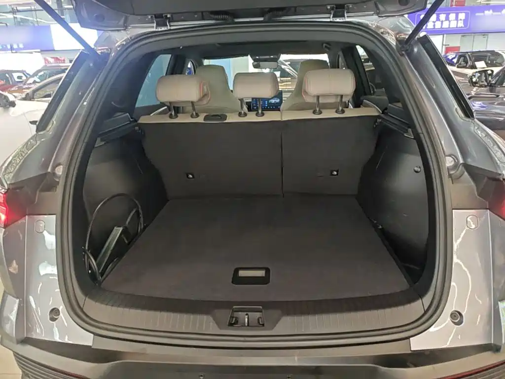 BYD Pro New Energy — миниатюра 19