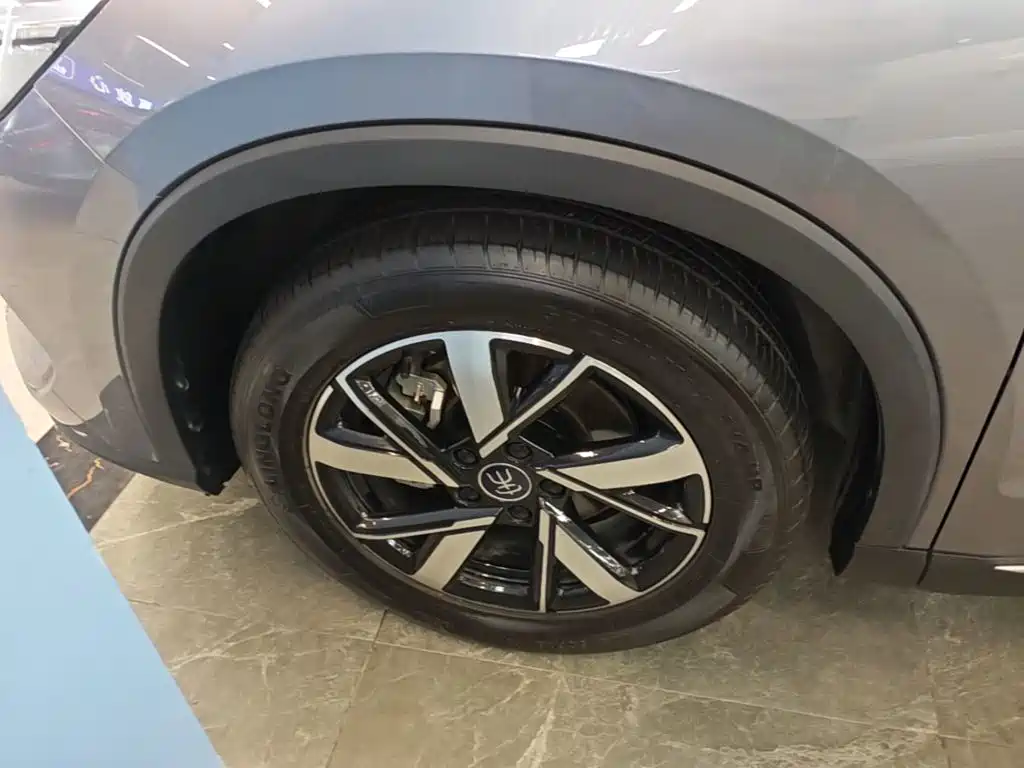 BYD Pro New Energy — миниатюра 23