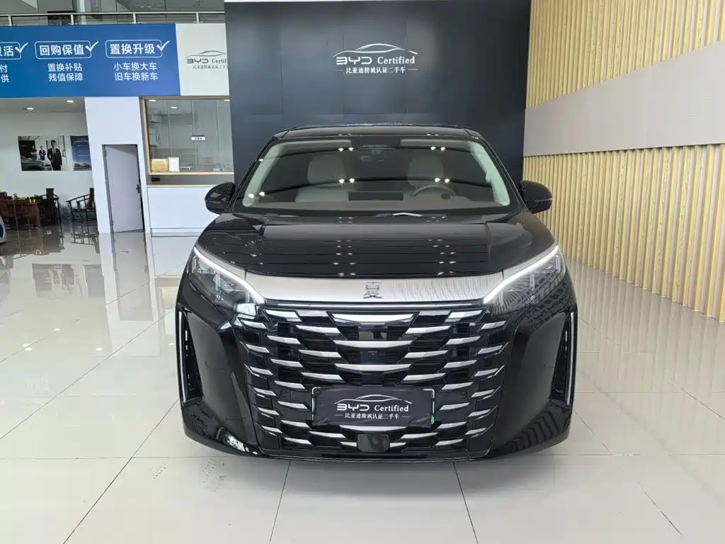 BYD Xia — миниатюра 2