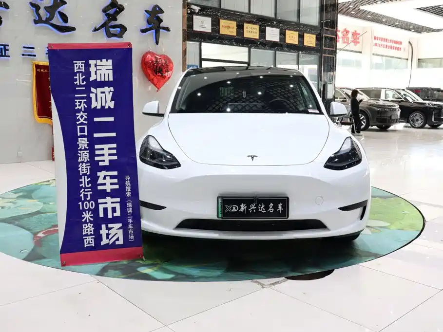 Tesla Model Y — миниатюра 2